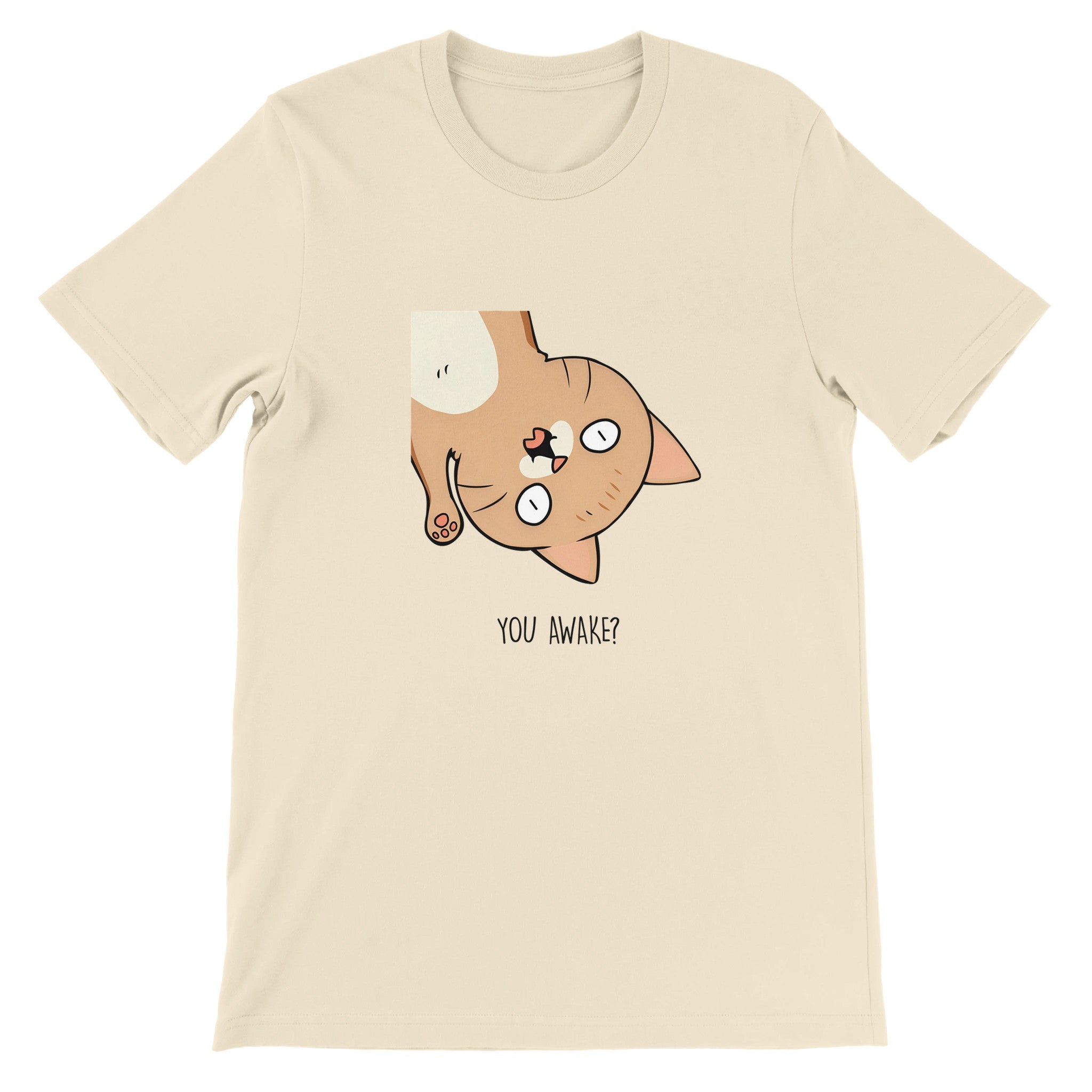 Budget Unisex Crewneck T-shirt/You-Awake? - Enet Images