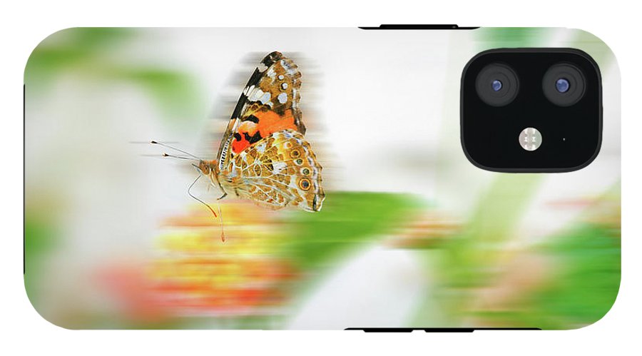 Butterfly in Motion - Phone Case - Enet Images