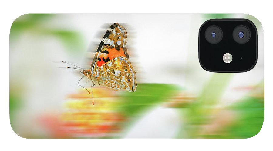 Butterfly in Motion - Phone Case - Enet Images