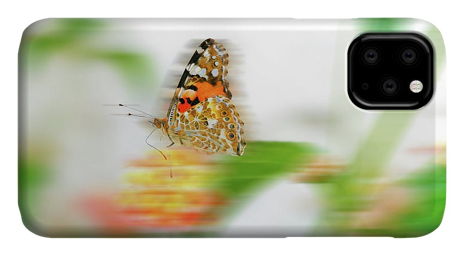 Butterfly in Motion - Phone Case - Enet Images