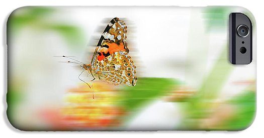 Butterfly in Motion - Phone Case - Enet Images