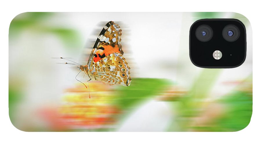Butterfly in Motion - Phone Case - Enet Images