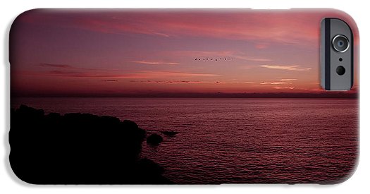 Flock Of Birds Against The Sunset - Phone Case - Enet Images