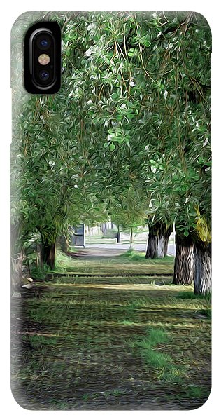Trees In Order - Phone Case - Enet Images