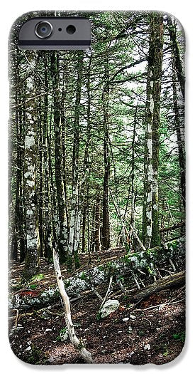 Trees In The Forest - Phone Case - Enet Images
