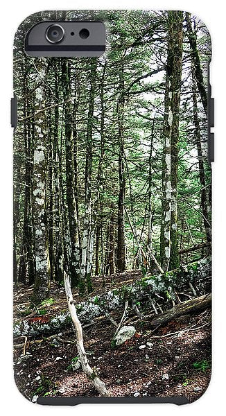 Trees In The Forest - Phone Case - Enet Images