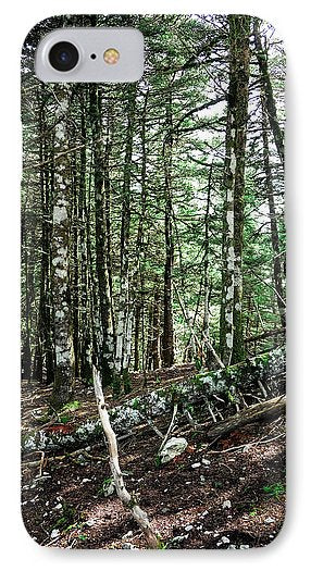 Trees In The Forest - Phone Case - Enet Images