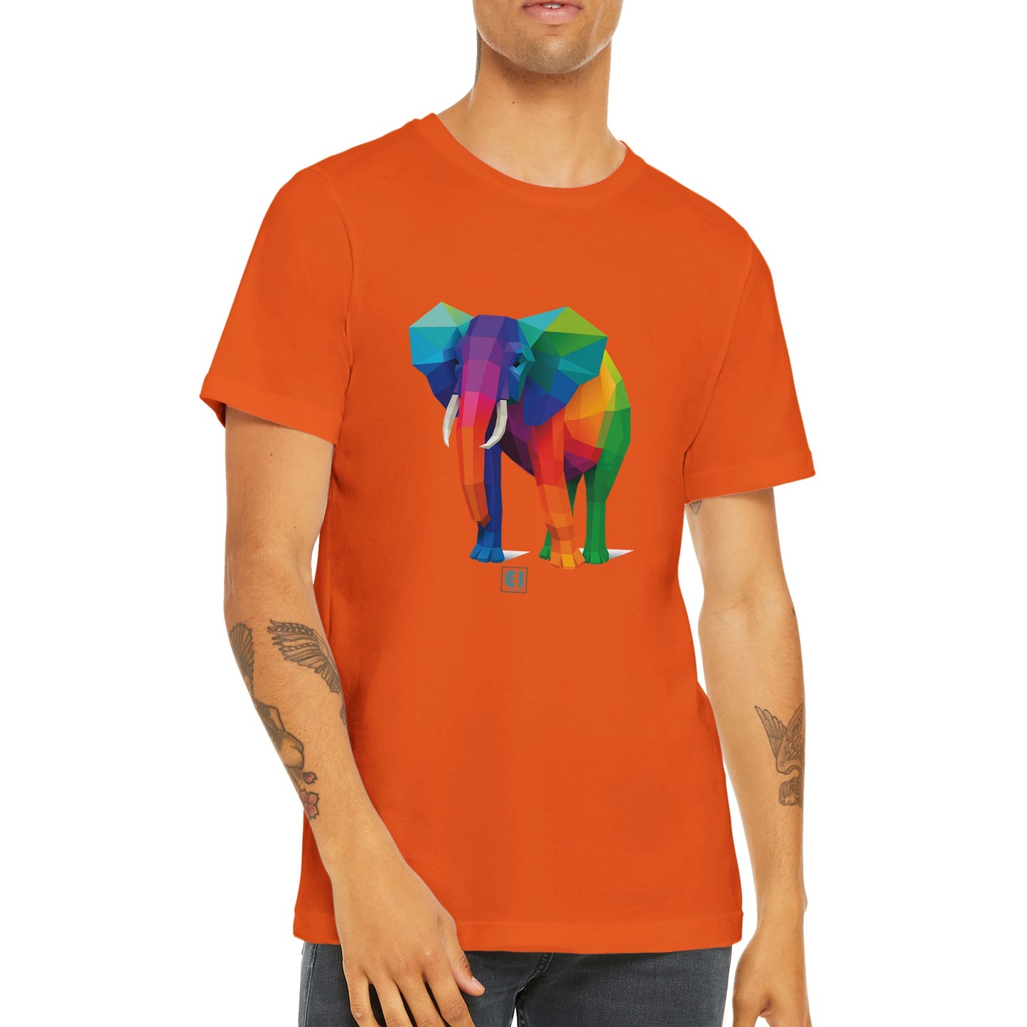 Budget Unisex Crewneck T-shirt/Elephant-Colorful