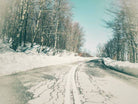 Snowy road  - Art Print - Enet Images