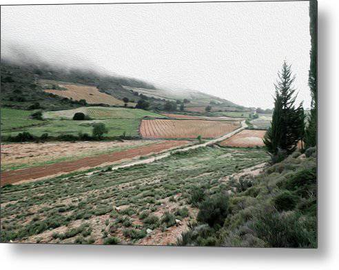 Vineyards  - Metal Print - Enet Images