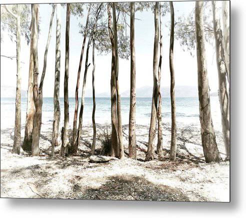 Tree Trunks On The Beach - Metal Print - Enet Images