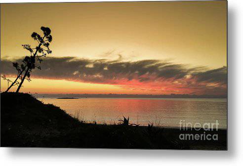 Tree against the sunset - Metal Print - Enet Images