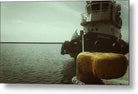 Tug boat  - Metal Print - Enet Images