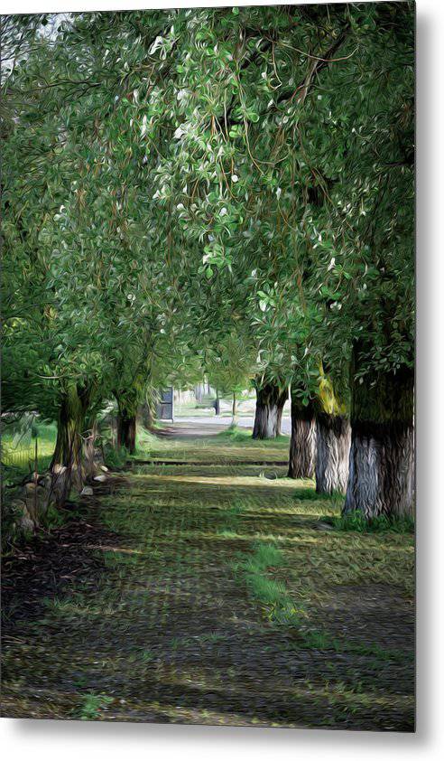 Trees In Order - Metal Print - Enet Images