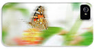 Butterfly in Motion  - Phone Case - Enet Images