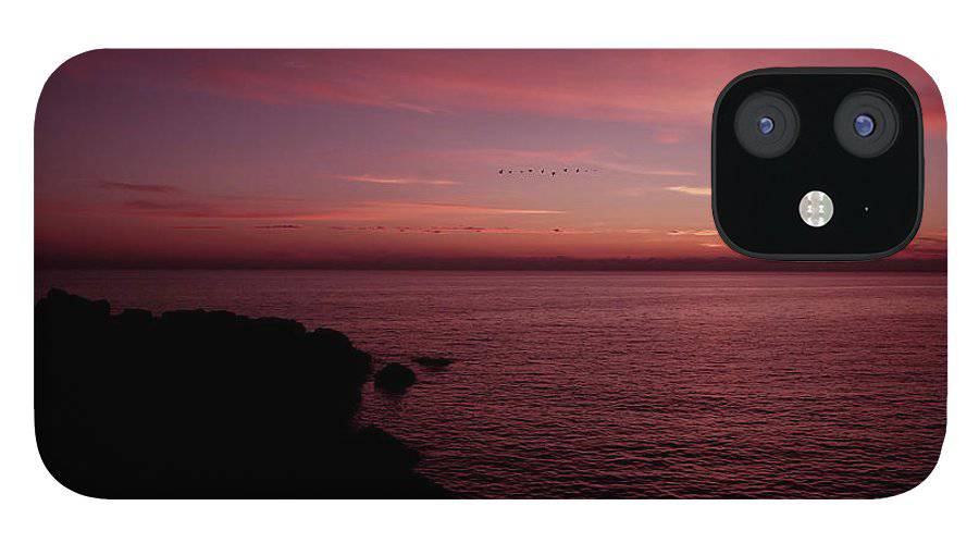 Flock Of Birds Against The Sunset - Phone Case - Enet Images