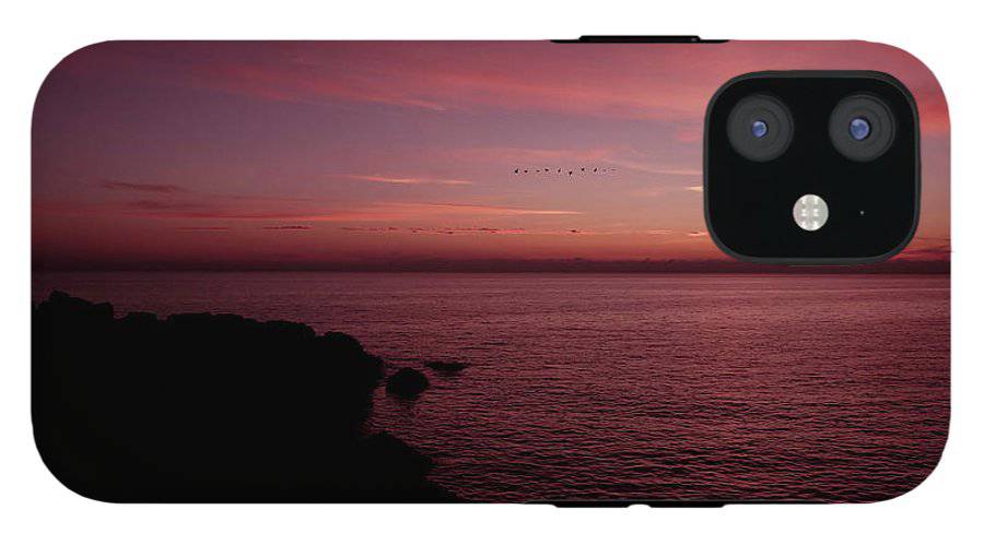 Flock Of Birds Against The Sunset - Phone Case - Enet Images