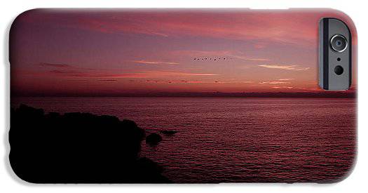 Flock Of Birds Against The Sunset - Phone Case - Enet Images