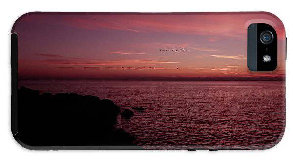 Flock Of Birds Against The Sunset - Phone Case - Enet Images