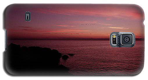 Flock Of Birds Against The Sunset - Phone Case - Enet Images
