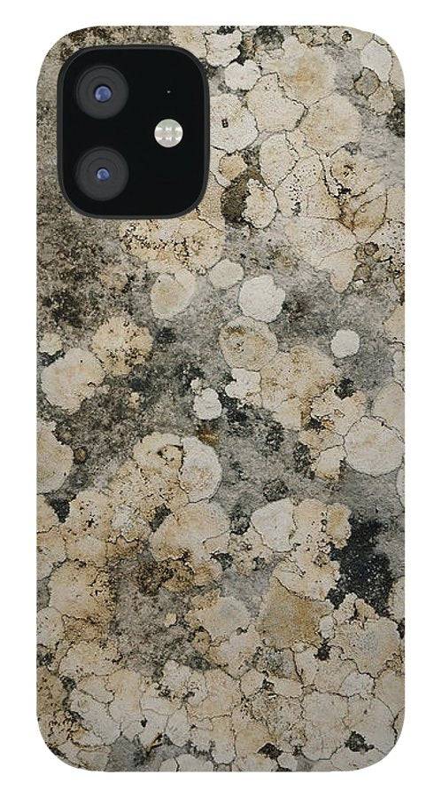 Natural abstract painting - Phone Case - Enet Images