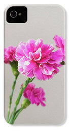 Pink Carnation - Phone Case - Enet Images