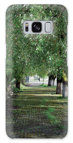 Trees In Order - Phone Case - Enet Images