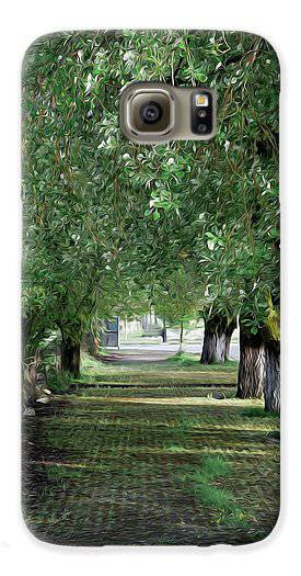 Trees In Order - Phone Case - Enet Images