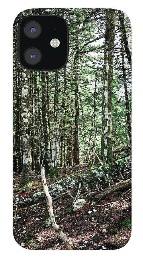 Trees In The Forest - Phone Case - Enet Images