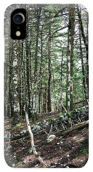 Trees In The Forest - Phone Case - Enet Images