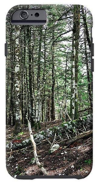 Trees In The Forest - Phone Case - Enet Images