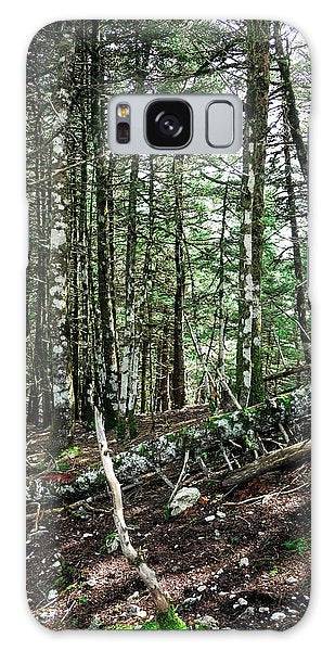 Trees In The Forest - Phone Case - Enet Images