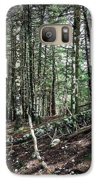 Trees In The Forest - Phone Case - Enet Images