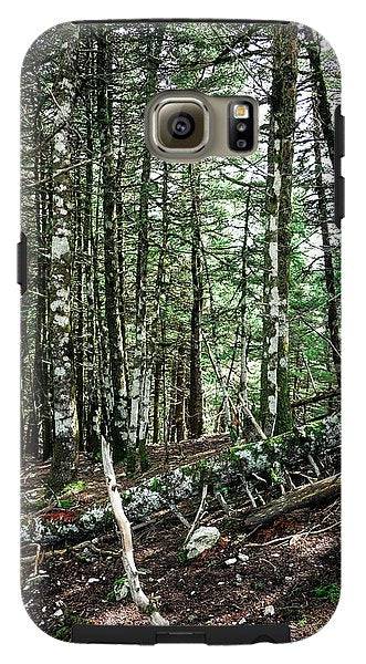 Trees In The Forest - Phone Case - Enet Images