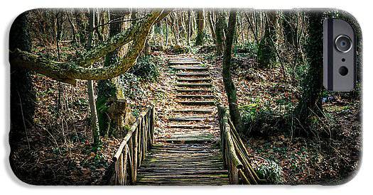 Wooden Path In The Forest - Phone Case - Enet Images