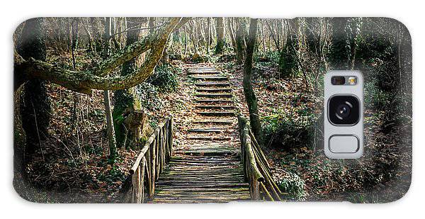 Wooden Path In The Forest - Phone Case - Enet Images