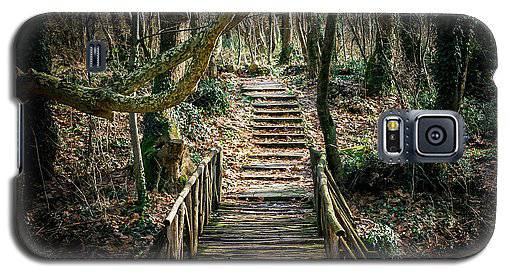 Wooden Path In The Forest - Phone Case - Enet Images