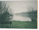 Bench At The Lagoon - Wood Print - Enet Images