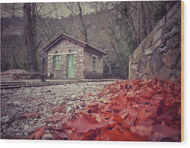 Dry Leaves On The Rails - Wood Print - Enet Images