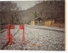 End Of The Line - Wood Print - Enet Images