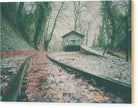 On The Rails - Wood Print - Enet Images