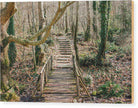 Path in the Forest - Wood Print - Enet Images