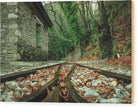 Rail tracks - Wood Print - Enet Images