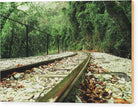 Rails On The Mountains - Wood Print - Enet Images