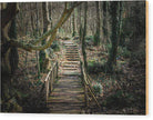 Wooden Path In The Forest - Wood Print - Enet Images