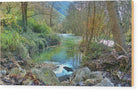 Creek In The Forest - Wood Print - Enet Images