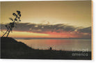 Tree against the sunset - Wood Print - Enet Images