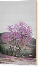 Colorful Fuchsia Tree  - Wood Print - Enet Images