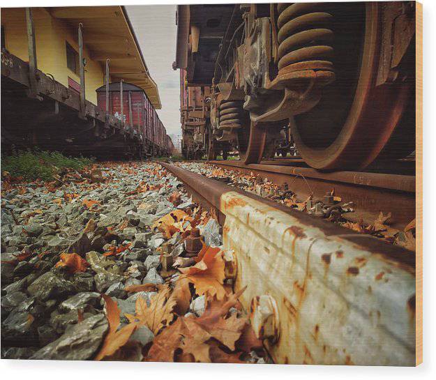 Among The Old Trains - Wood Print - Enet Images