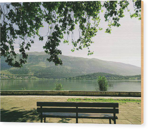 Bench At The Lake - Wood Print - Enet Images